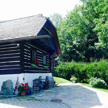 Willa Bachkeusche Ossiach Zewnętrze zdjęcie